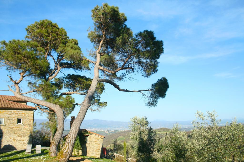 Bed and Breakfast Relais Il Pozzeto Anghiari Exterior foto
